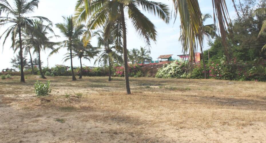 O Palmar Hotel, Goa 3